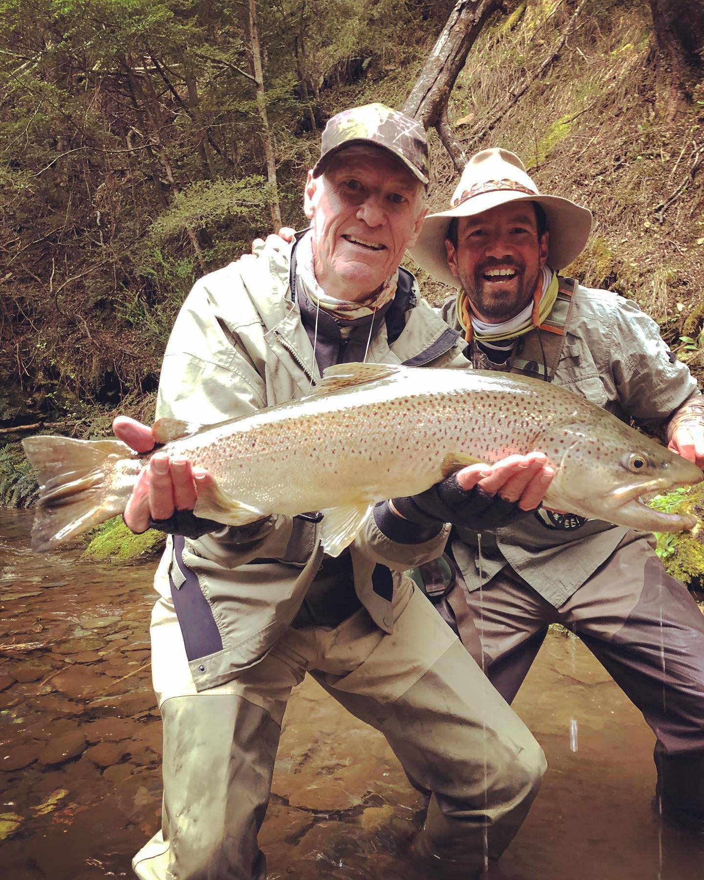 New Zealand - Southland Guided Week Adventure - Image 35