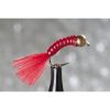 Gold BH Blood Worm