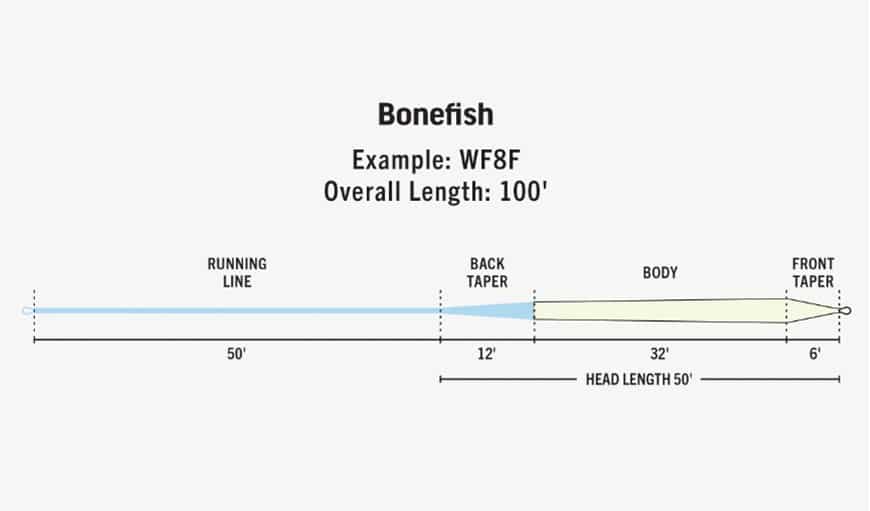 RIO Bonefish Premier - Image 3